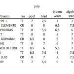 vuurwerk-2016-jury